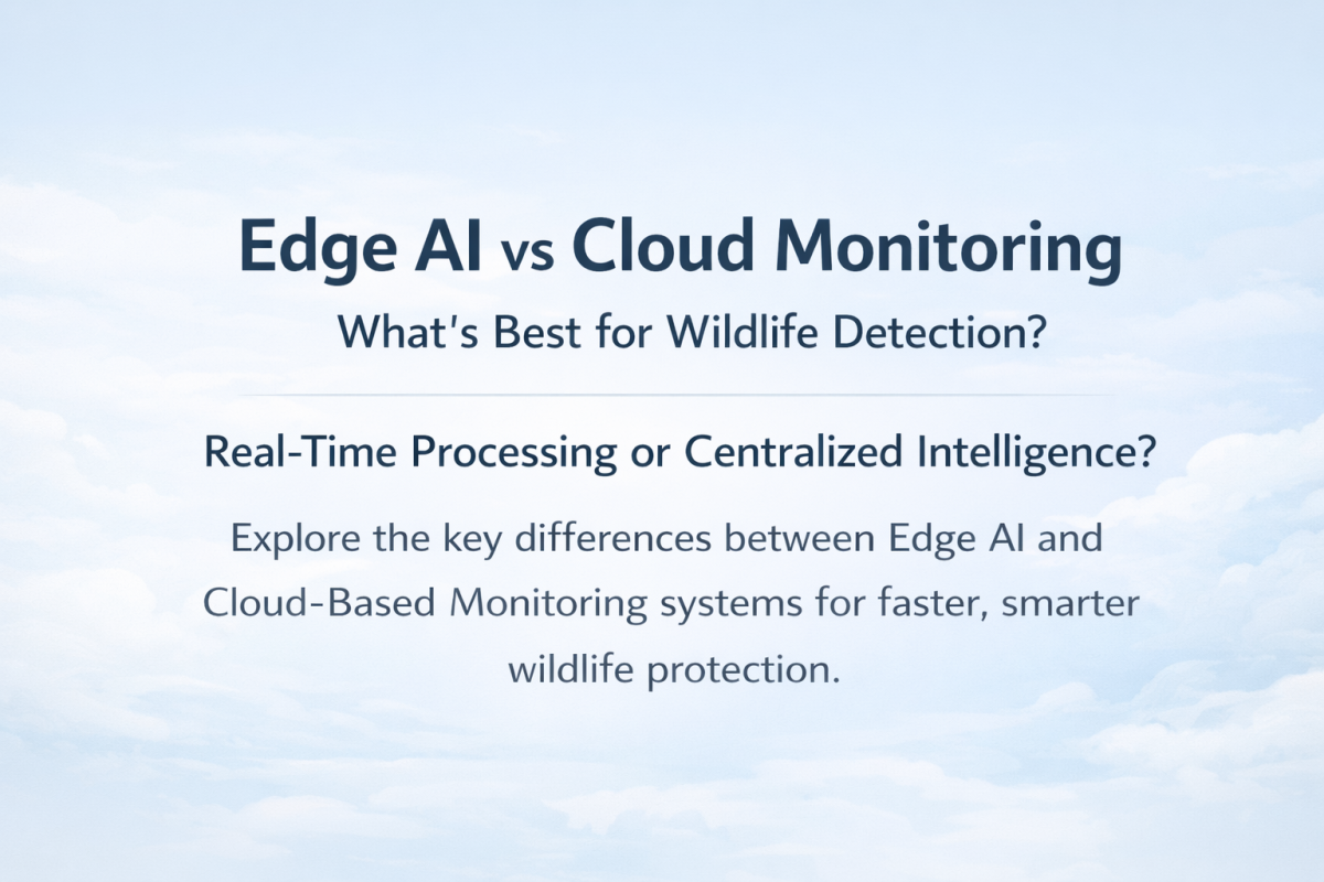 Edge AI vs Cloud Monitoring: What’s Best for Wildlife Detection?