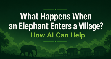 AI Wildlife Detection vs Traditional Methods (Fencing, Patrols, Watchtowers)